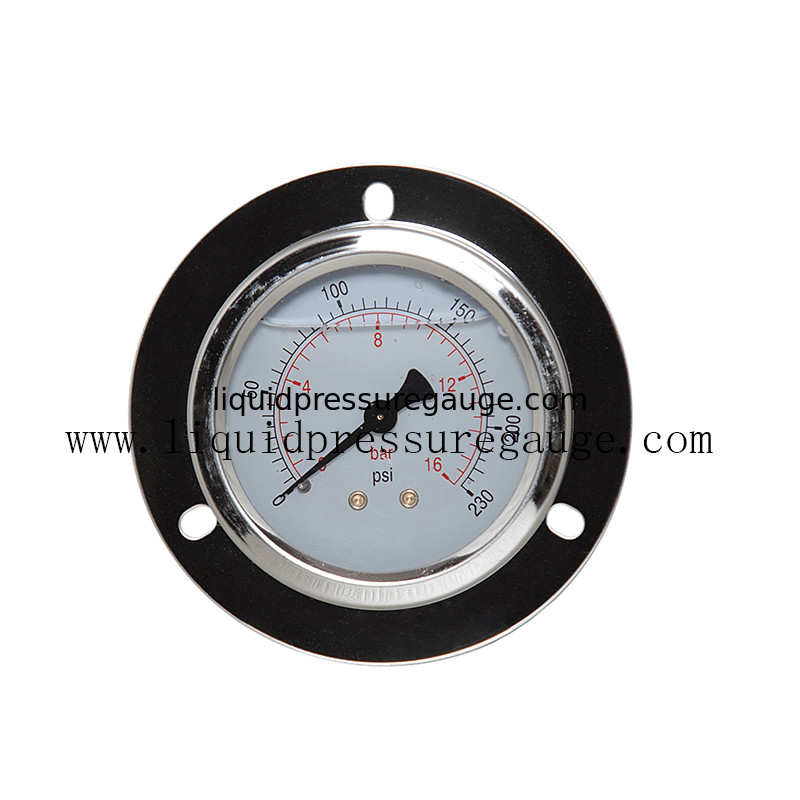 Stainless Steel Liquid Filled Pressure Gauges With Flange 1/4 BSP Back Connection